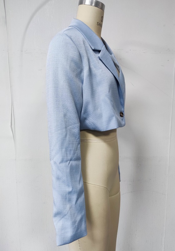 Light Blue Cropped Blazer​