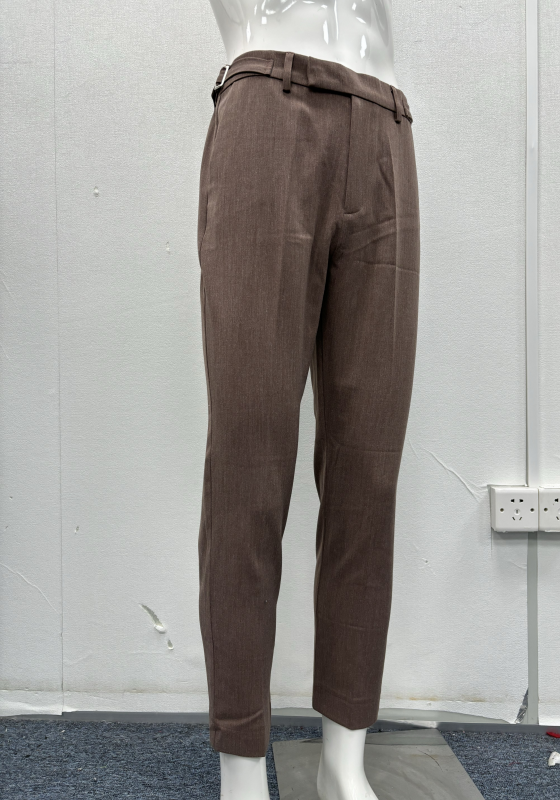 Brown Pleated Dress Pants
