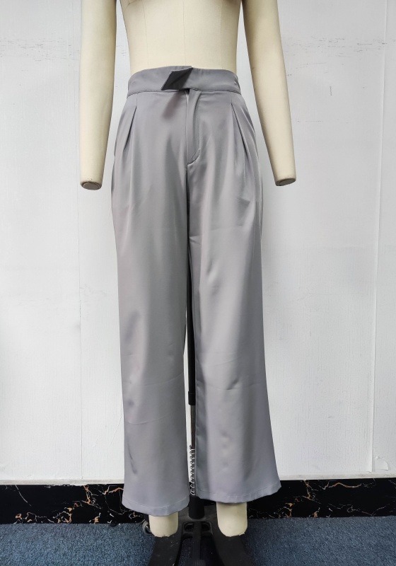 Light Gray Pleated Wide Leg Pants